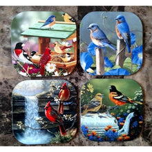 Summer Birds Coasters - Incredible Keepsakes