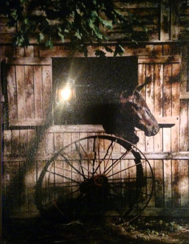 Horse and Wagon Wheel Canvas