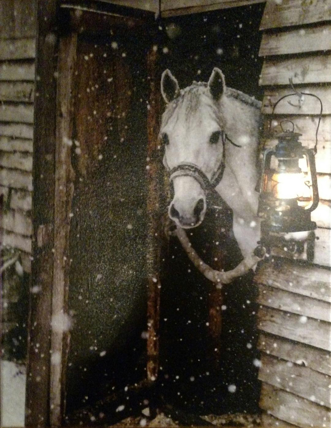 Horse Looking from Barn Canvas