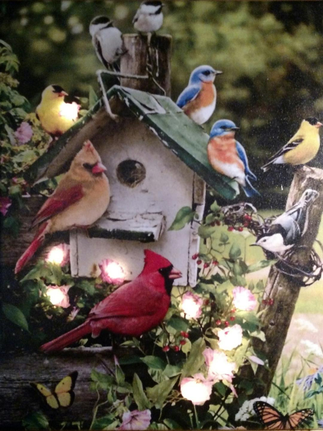 Birds and Birdhouse Canvas